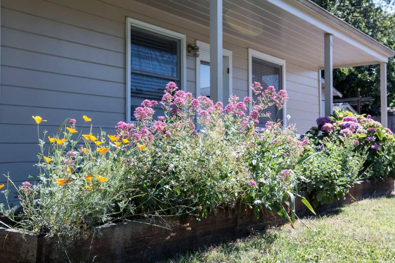 West End Neighborhood Cottage Santa Rosa Εξωτερικό φωτογραφία